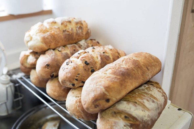 13934708_1052844574831644_3003350189418749323_n